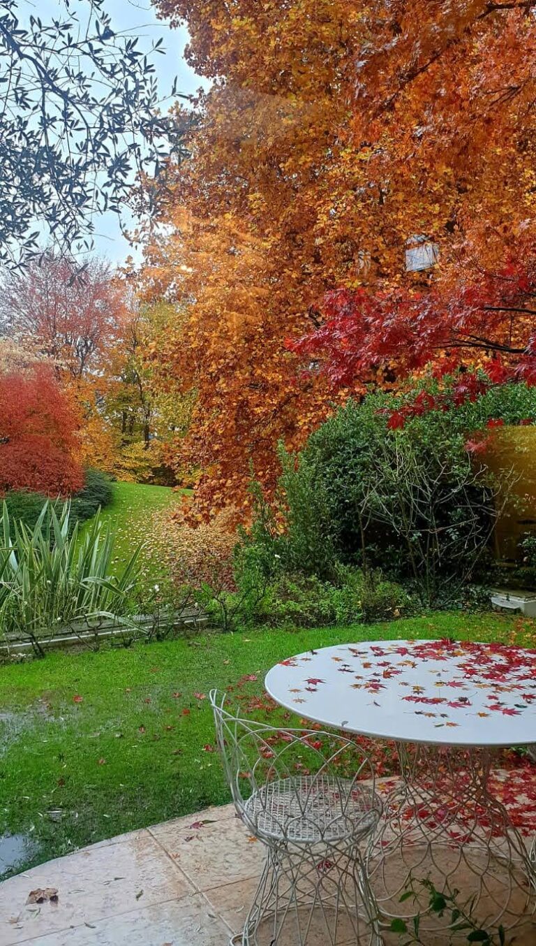 progetto architettura terrazza in autunno